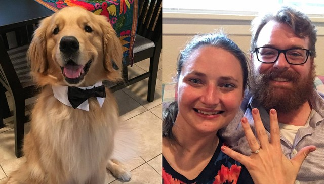 Adorable Golden Dresses Up to Help Dad Propose To Mom
