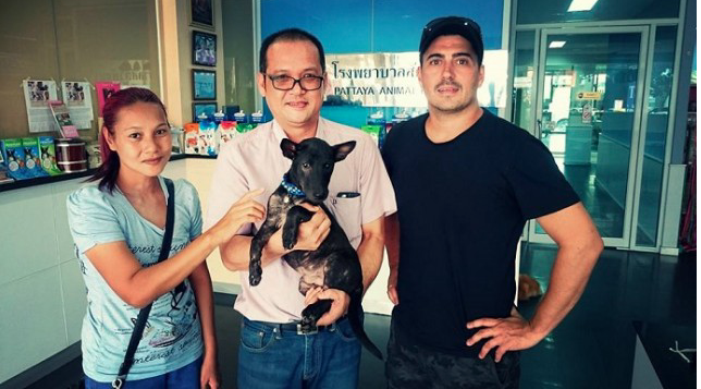 Newly Married Couple Cancel Thailand Honeymoon To Help Injured Dog Survive