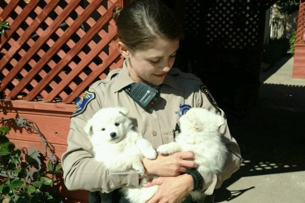 Deputies Make The Cutest Arrest After Burglary Alarm Goes Off