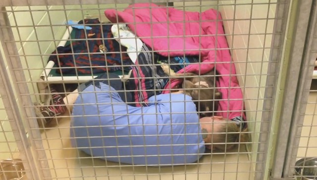 Loving Rescuer Climbs Into Kennel To Comfort Crying Shelter Pup