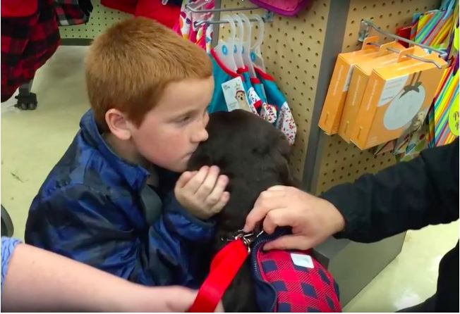 Boy Who Wanted Service Dog Saves $2,000 in Pennies To Make His Dream Possible