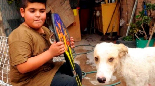 Boy Sells All of His Prized Possessions To Get Street Dog Urgent Medical Care