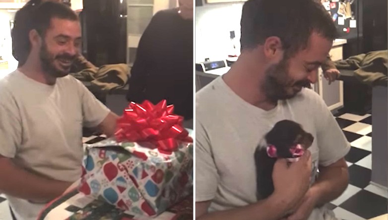 Watch: Military Veteran Gets The Perfect Christmas Present To Help Him Heal
