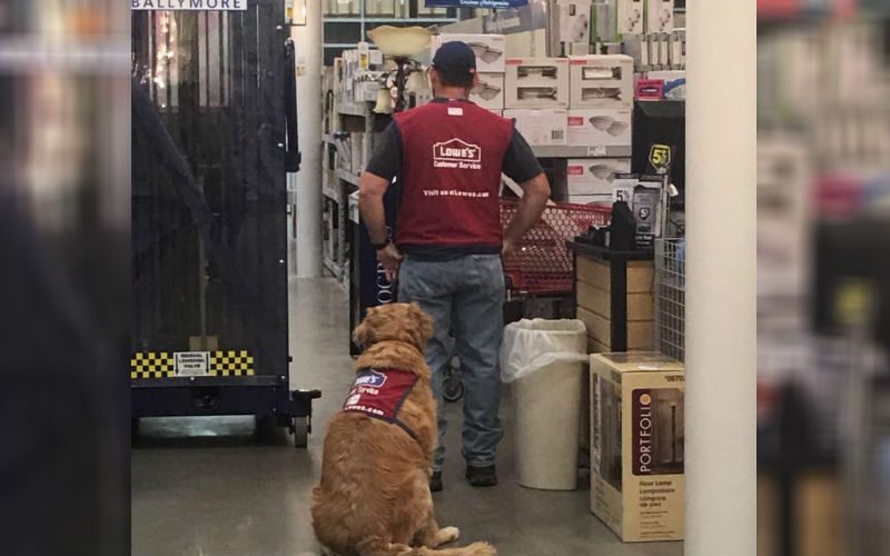 Military Vet With Service Dog Struggled To Find a Job-Until This Store Hired Him