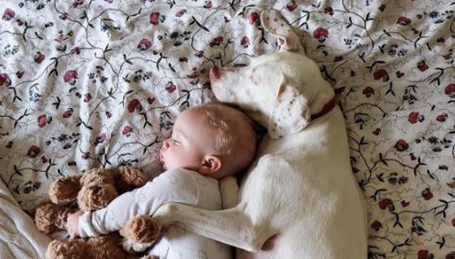 Neglected Pup Was Fearful of Everyone Except This Baby