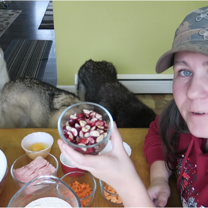 DIY Thanksgiving Treats For Your Dog