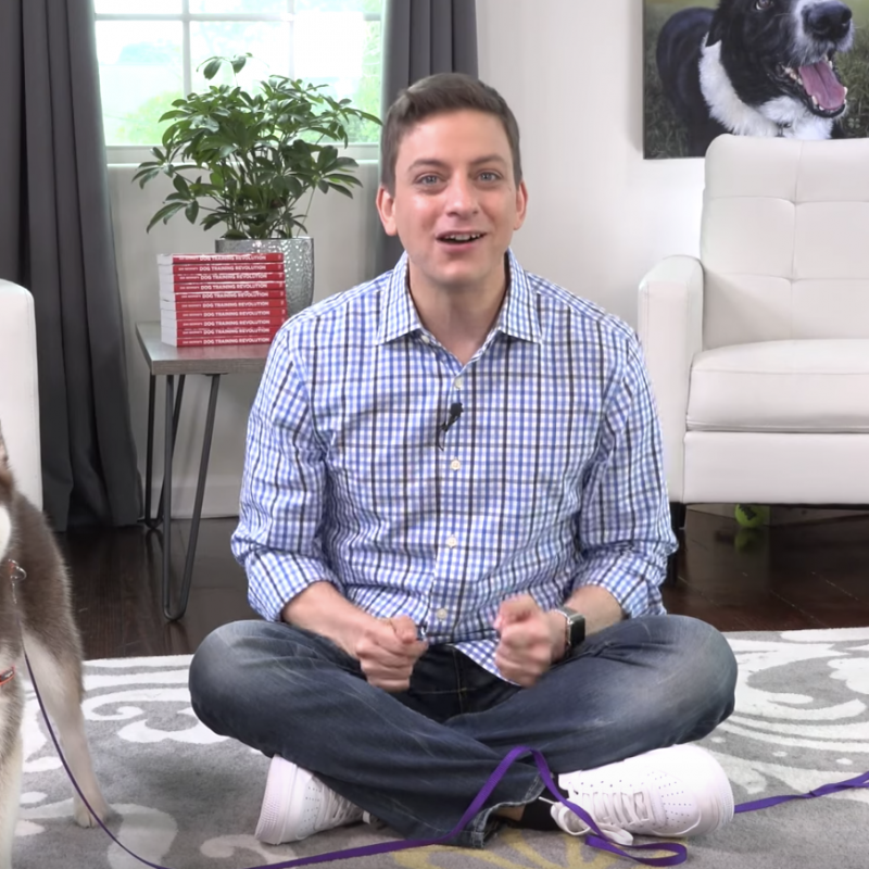 Teach Your Pup 6 Things In 5 Minutes