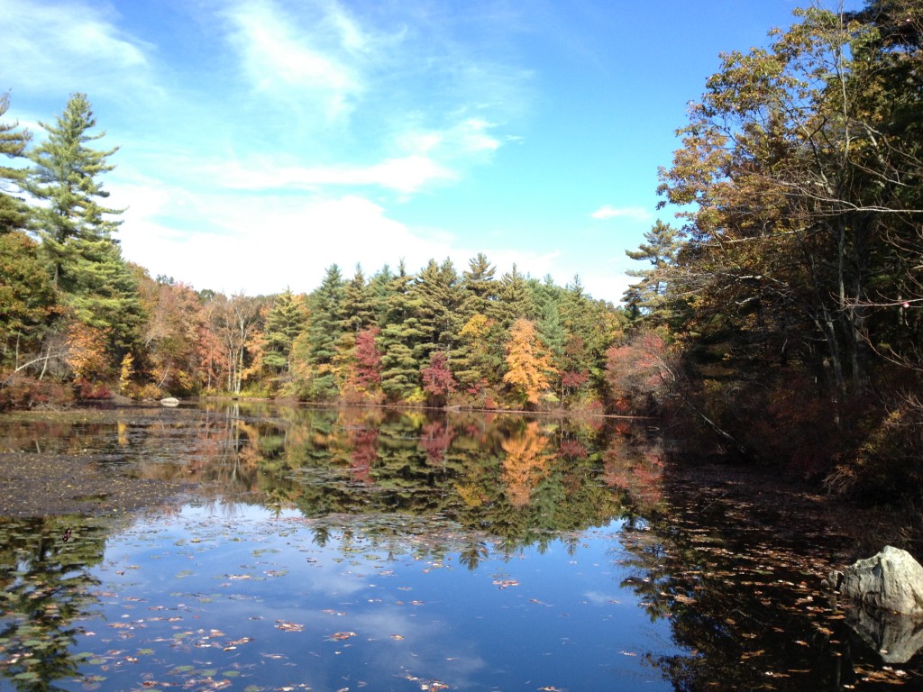 Noon Hill Pond